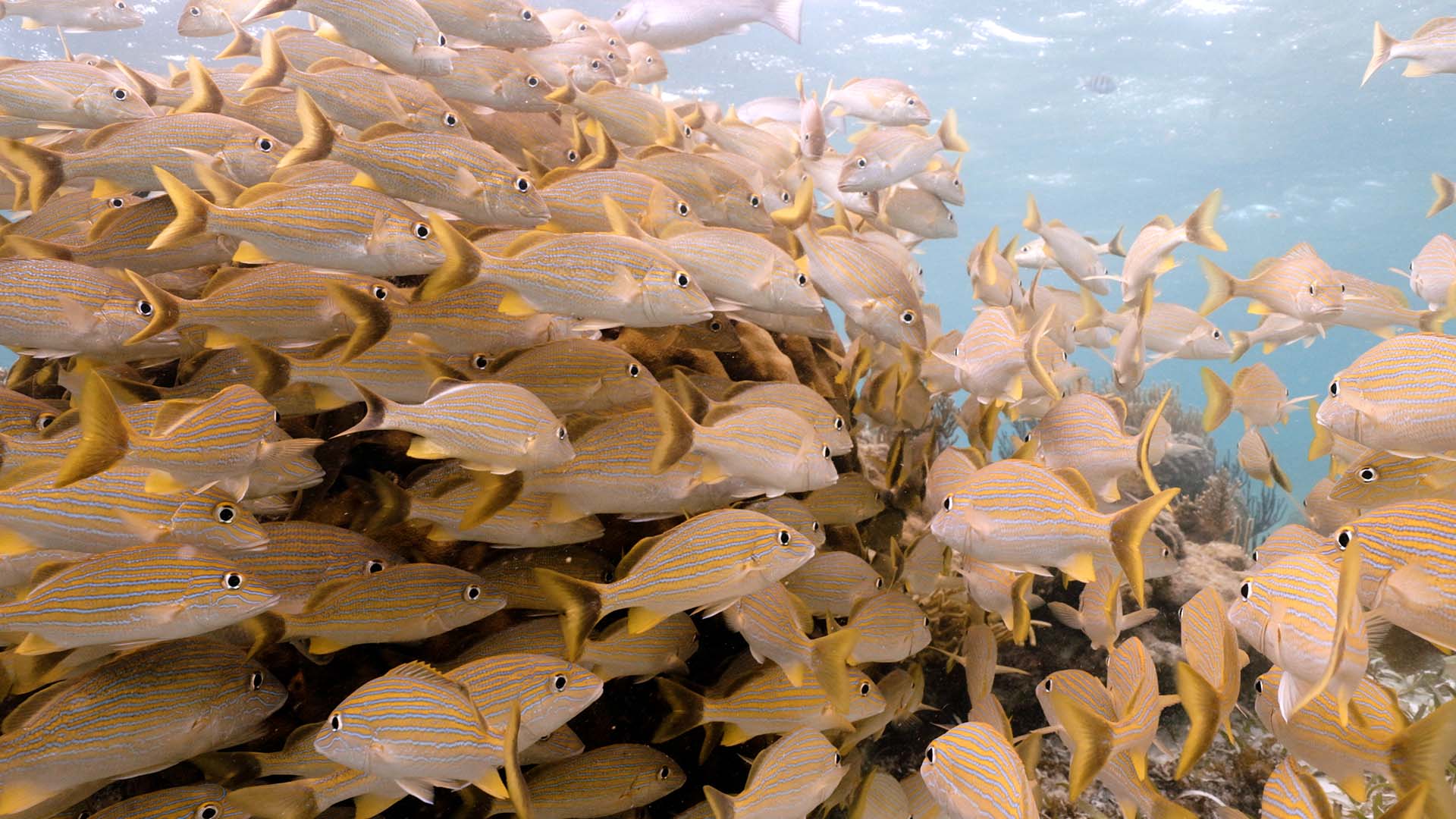 PressRelease_202510_1920x1080