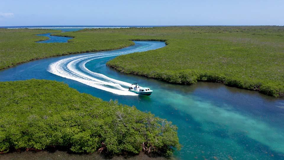 ImpactTheme1_960x540