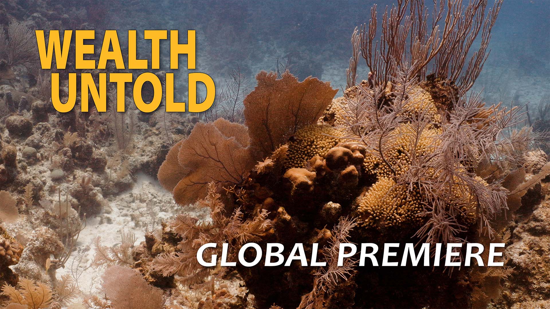 Wealth Untold Film Global Premiere