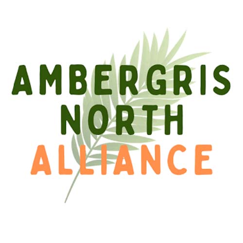 Ambergris North Alliance